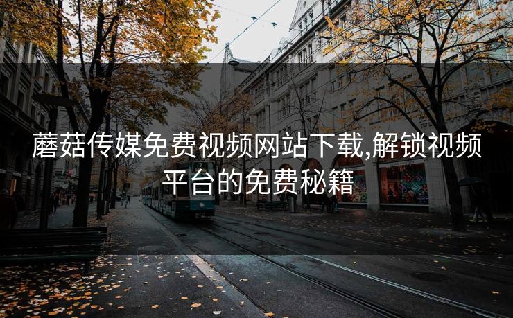 蘑菇传媒免费视频网站下载,解锁视频平台的免费秘籍