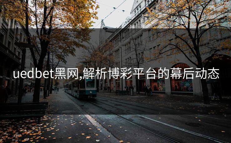 uedbet黑网,解析博彩平台的幕后动态