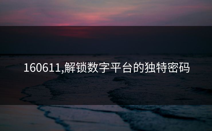 160611,解锁数字平台的独特密码