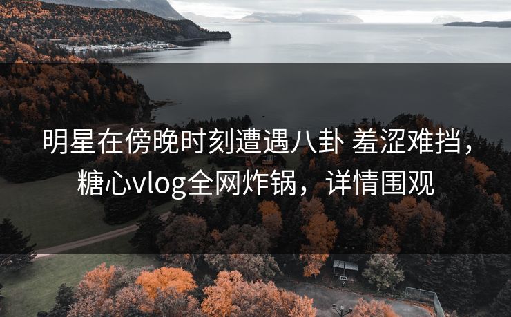明星在傍晚时刻遭遇八卦 羞涩难挡，糖心vlog全网炸锅，详情围观