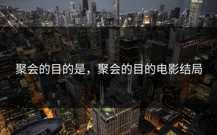 聚会的目的是，聚会的目的电影结局