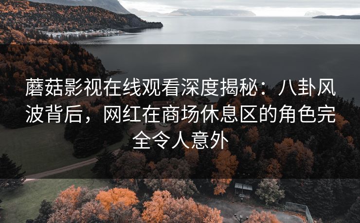 蘑菇影视在线观看深度揭秘：八卦风波背后，网红在商场休息区的角色完全令人意外