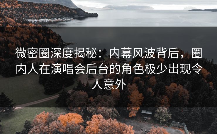 微密圈深度揭秘:内幕风波背后,圈内人在演唱会后台的角色极少出现令人意外
